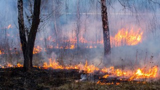 Treibhauseffekt verursacht Naturkatastrophen