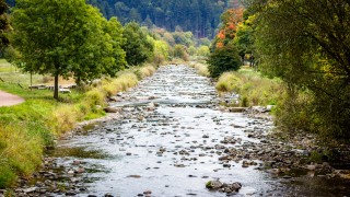 Dreisam in Freiburg