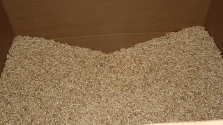 Holzpellets für eine Pelletheizung