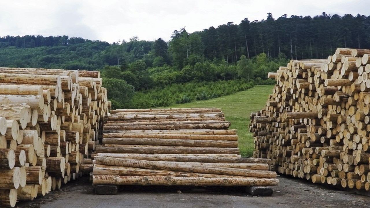 Bioenergiedorf Hägelberg