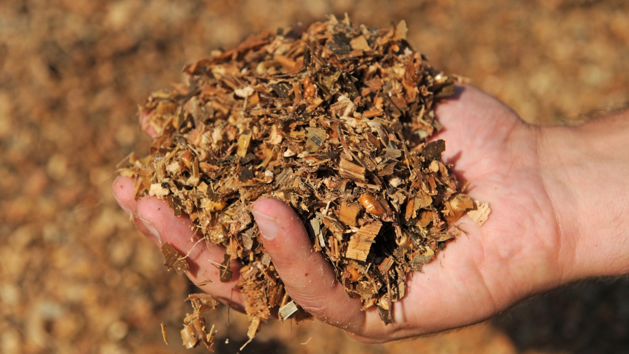 Unterstützung der Hydrolyse durch aerobe Produktion von Enzymen unter Verwendung von Gärresten in einer Biogasanlage
