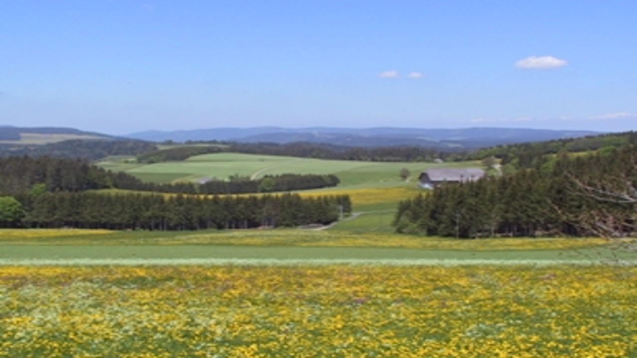 RegioNetz für Klimaschutz - Regionalnetzwerk zur Stärkung ehren-amtlichen Klimaschutzengagements im ländlichen Raum