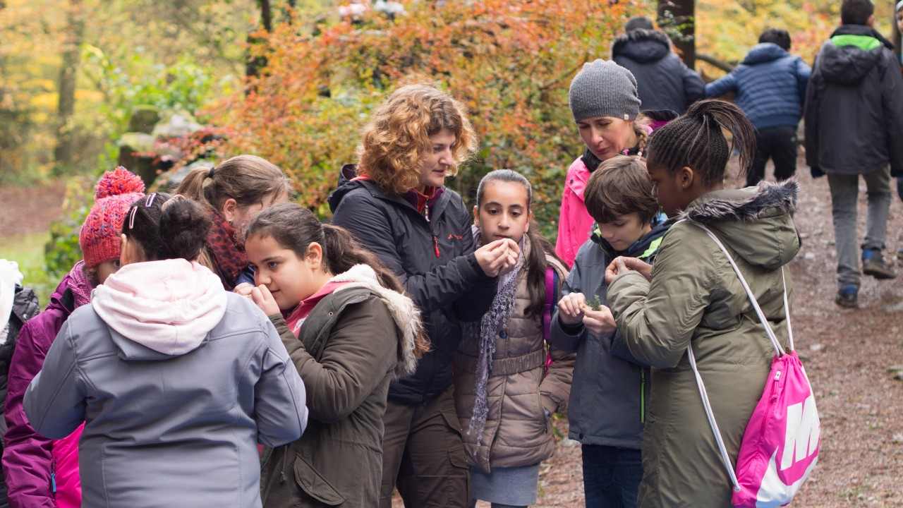 Freiburger KlimaPflanzschule – ein außerschulisches Bildungs-Projekt im Bereich nachhaltige Entwicklung für die Sekundarstufe 1