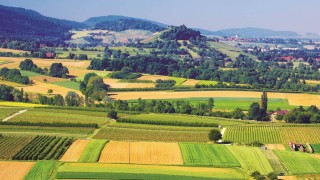 Ländliche Aufnahme mit Feldern und Hügeln