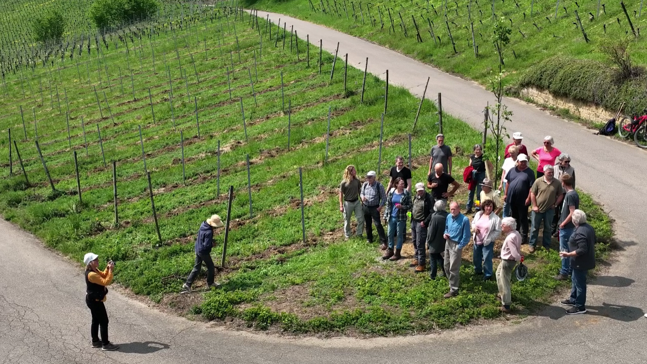 Private Honorierung ökologischer Maßnahmen bei landwirtschaftlich genutzten Böden