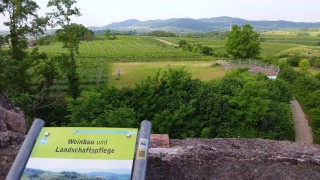 Photovoltaik und Weinanbau Viti PV