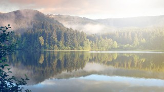 Als ökologisches Unternehmen setzt badenova sich aktiv für Umwelt- und Klimaschutz in der Region ein. 